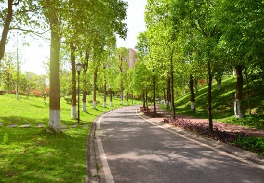 Place to walk