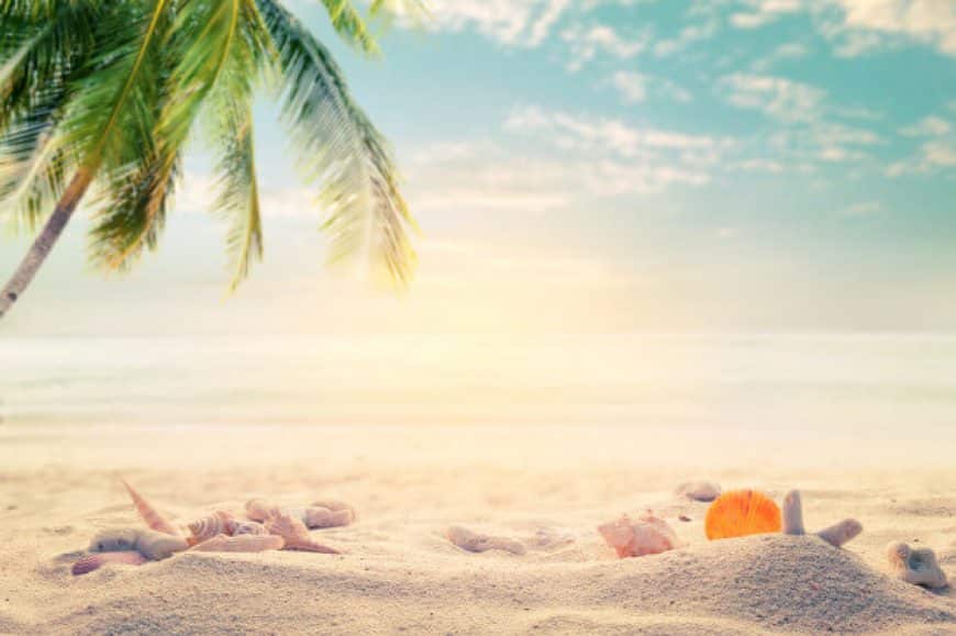 Beaches
