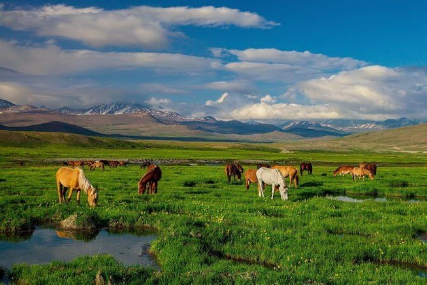 National Park