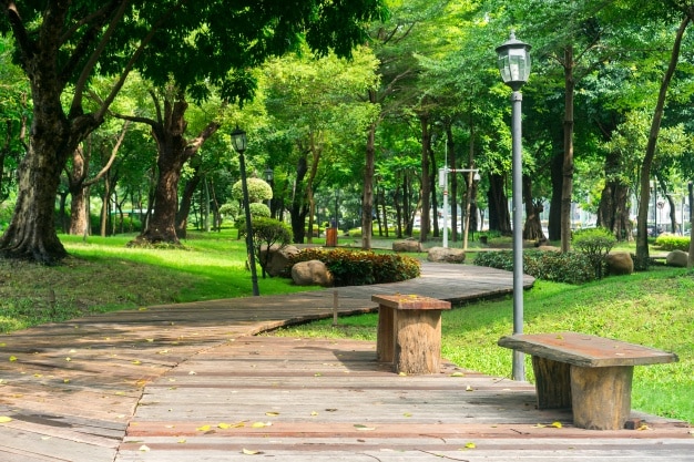 Best Parks in London You Need To Explore