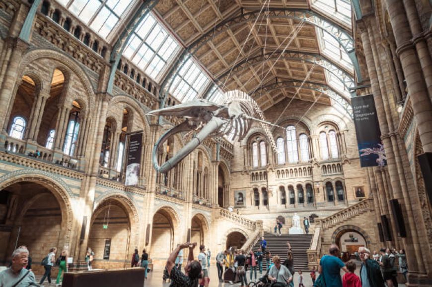 Museum Of Scotland