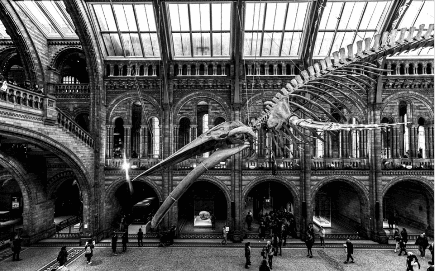  science museum in uk