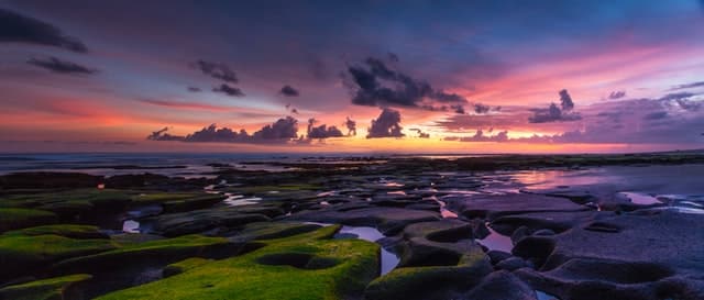 bali